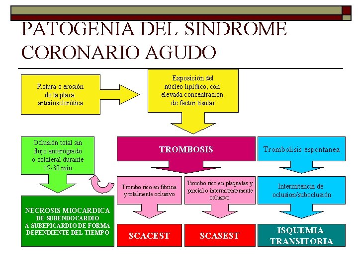 PATOGENIA DEL SINDROME CORONARIO AGUDO Rotura o erosión de la placa arteriosclerótica Oclusión total