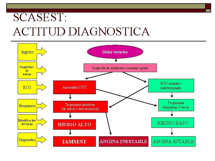 SCASEST: ACTITUD DIAGNOSTICA Dolor torácico Ingreso Diagnóstico de trabajo ECG Bioquimica Estratificación del riesgo