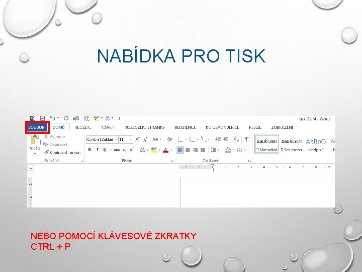 NABÍDKA PRO TISK NEBO POMOCÍ KLÁVESOVÉ ZKRATKY CTRL + P 