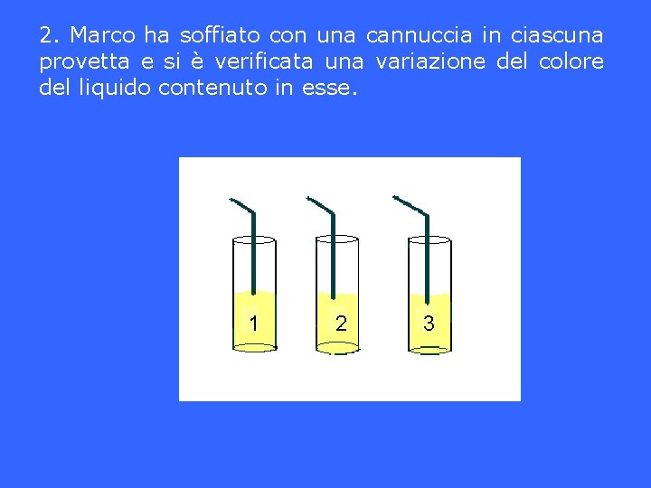 2. Marco ha soffiato con una cannuccia in ciascuna provetta e si è verificata