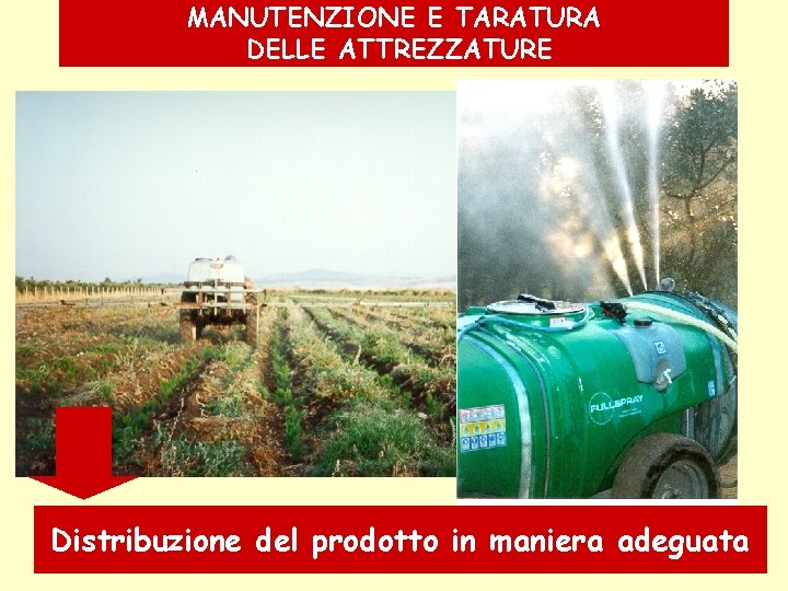 MANUTENZIONE E TARATURA DELLE ATTREZZATURE Distribuzione del prodotto in maniera adeguata 