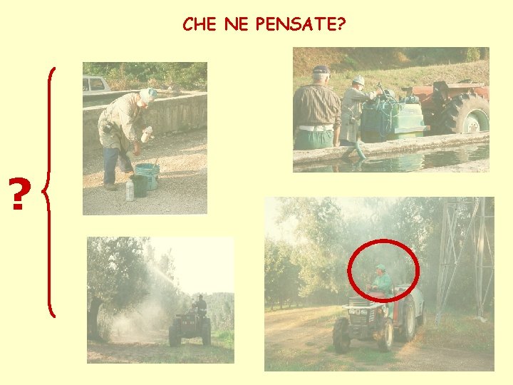 CHE NE PENSATE? ? 