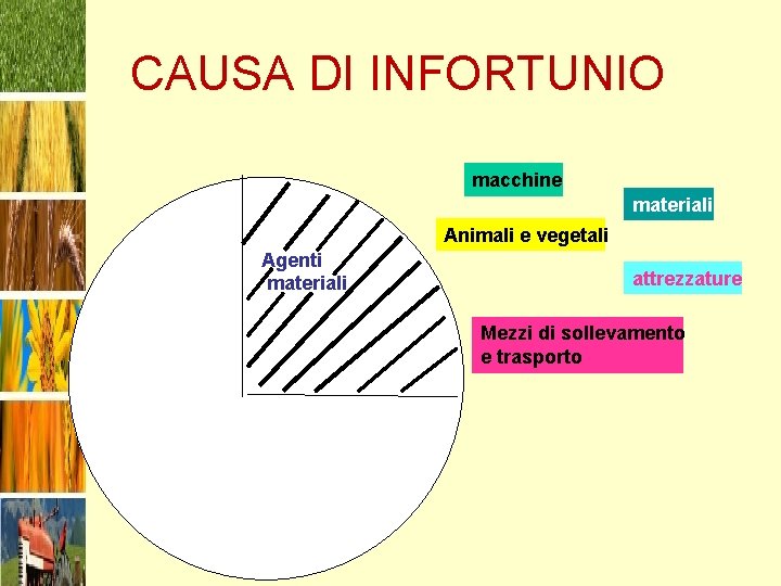 CAUSA DI INFORTUNIO macchine materiali Animali e vegetali Agenti materiali attrezzature Mezzi di sollevamento