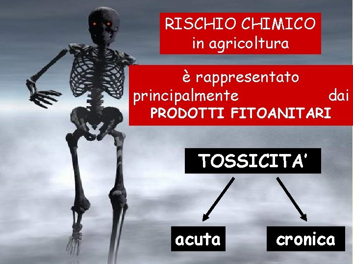 RISCHIO CHIMICO in agricoltura è rappresentato principalmente dai PRODOTTI FITOANITARI TOSSICITA’ acuta cronica 