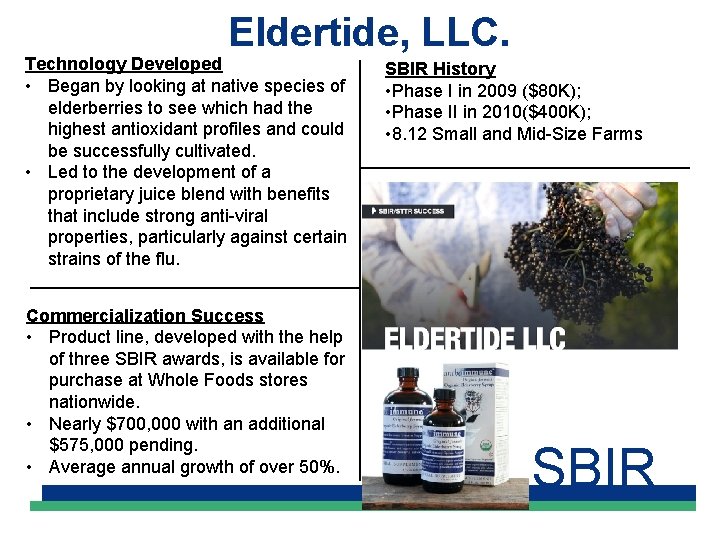 Eldertide, LLC. Technology Developed • Began by looking at native species of elderberries to