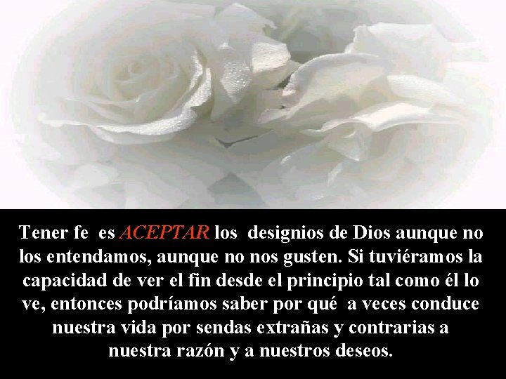 Tener fe es ACEPTAR los designios de Dios aunque no los entendamos, aunque no