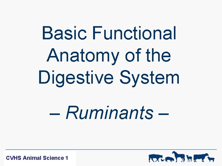 Basic Functional Anatomy of the Digestive System – Ruminants – WF-R SCIENCE CVHS ANIMAL