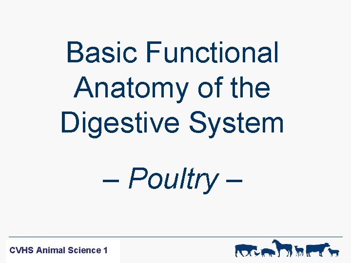 Basic Functional Anatomy of the Digestive System – Poultry – WF-R SCIENCE CVHS ANIMAL