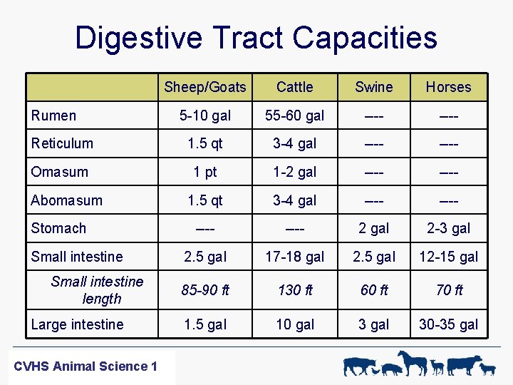 Digestive Tract Capacities Sheep/Goats Cattle Swine Horses 5 -10 gal 55 -60 gal ----