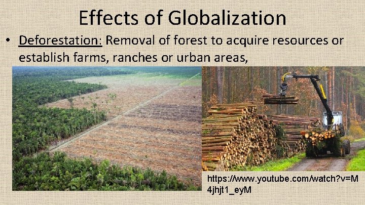 Effects of Globalization • Deforestation: Removal of forest to acquire resources or establish farms,