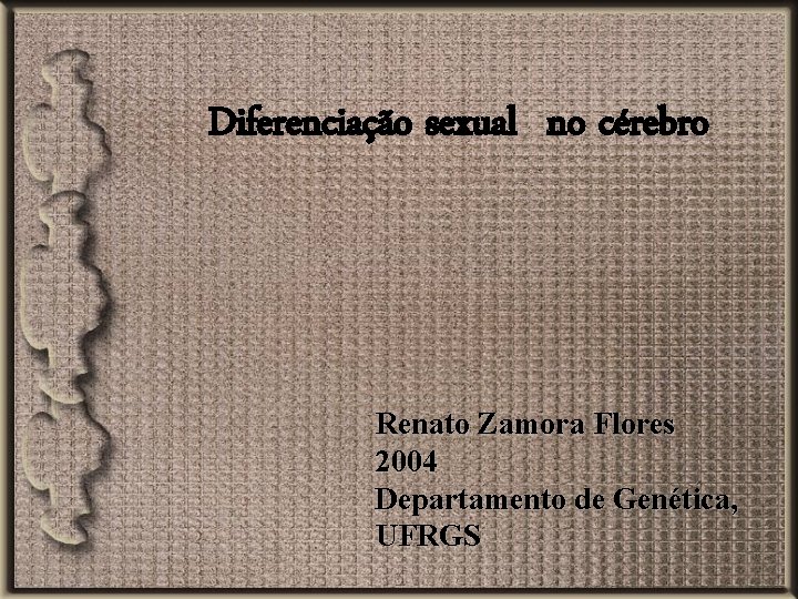 Diferenciação sexual no cérebro Renato Zamora Flores 2004 Departamento de Genética, UFRGS 
