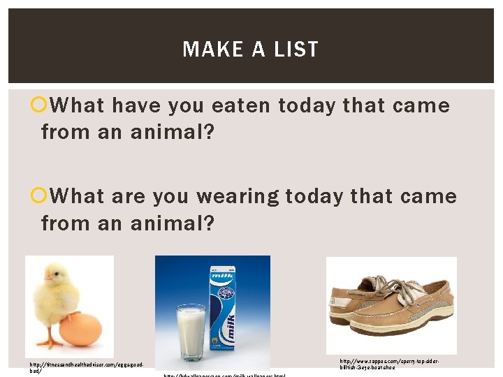 MAKE A LIST What have you eaten today that came from an animal? What