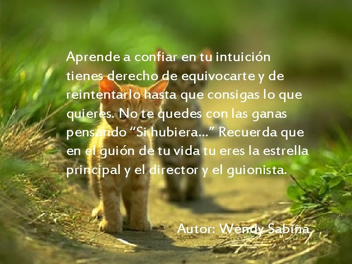 Aprende a confiar en tu intuición tienes derecho de equivocarte y de reintentarlo hasta