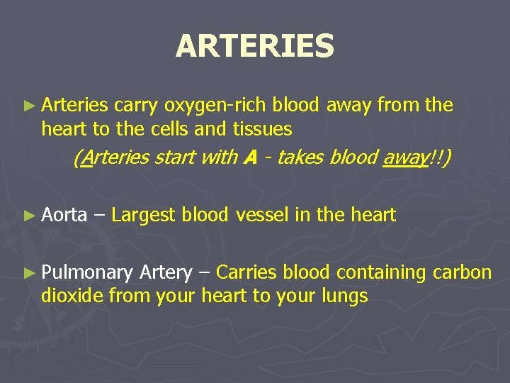 ARTERIES ► Arteries carry oxygen-rich blood away from the heart to the cells and