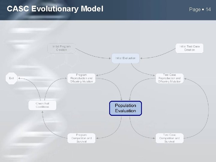 CASC Evolutionary Model Page 14 