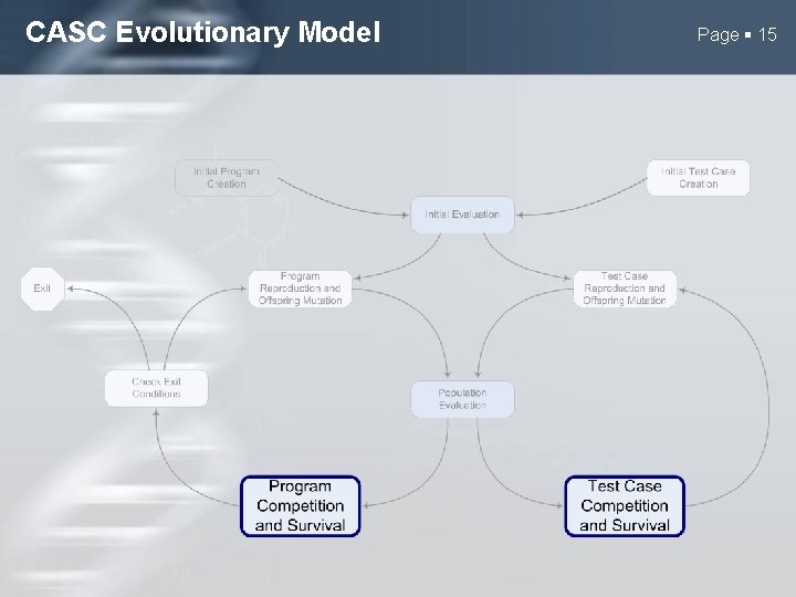 CASC Evolutionary Model Page 15 