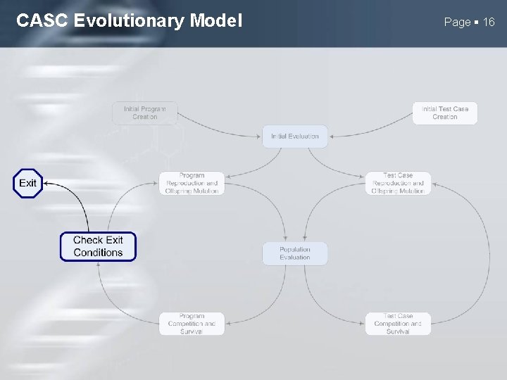 CASC Evolutionary Model Page 16 