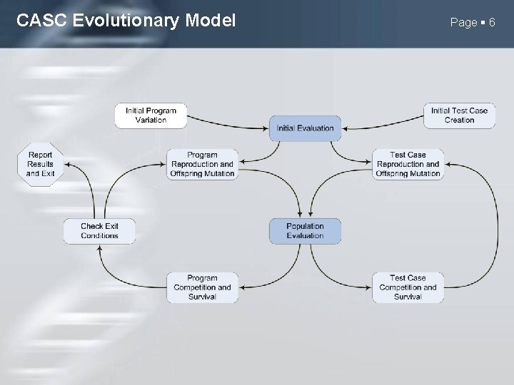 CASC Evolutionary Model Page 6 