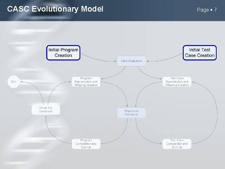 CASC Evolutionary Model Page 7 