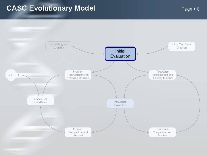 CASC Evolutionary Model Page 8 