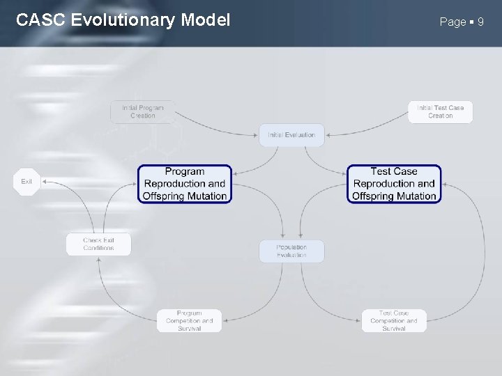 CASC Evolutionary Model Page 9 