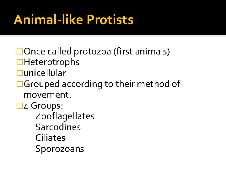 Animal-like Protists �Once called protozoa (first animals) �Heterotrophs �unicellular �Grouped according to their method