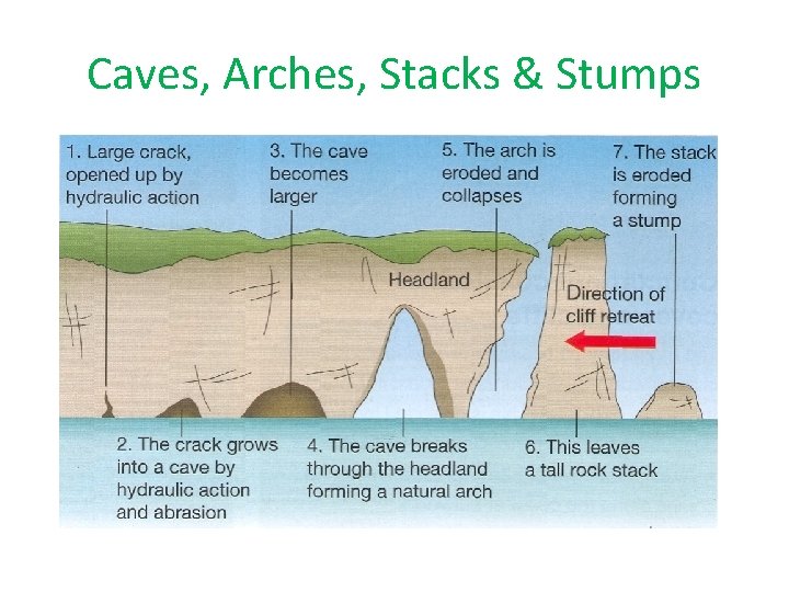 Caves, Arches, Stacks & Stumps Caves, Arches, Stacks & Stumps