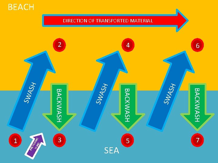 BEACH DIRECTION OF TRANSPORTED MATERIAL SEA 5 SH SWA SWA EV A WI ILING