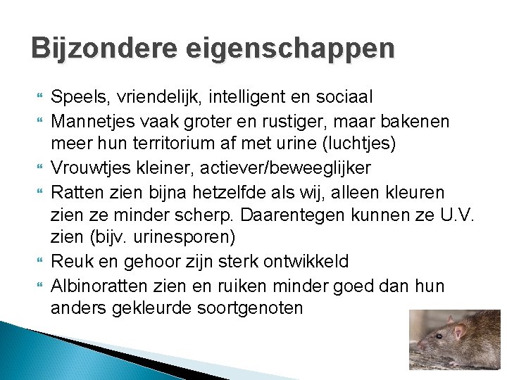 Bijzondere eigenschappen Speels, vriendelijk, intelligent en sociaal Mannetjes vaak groter en rustiger, maar bakenen