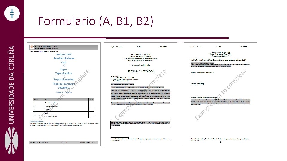 Formulario (A, B 1, B 2) 