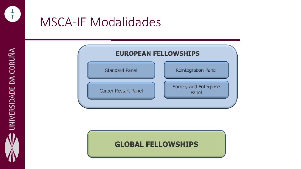 MSCA-IF Modalidades 