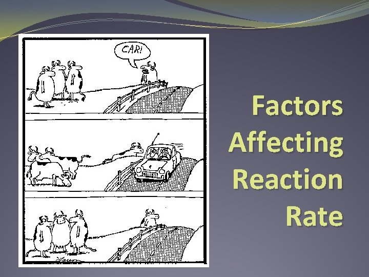 Factors Affecting Reaction Rate 