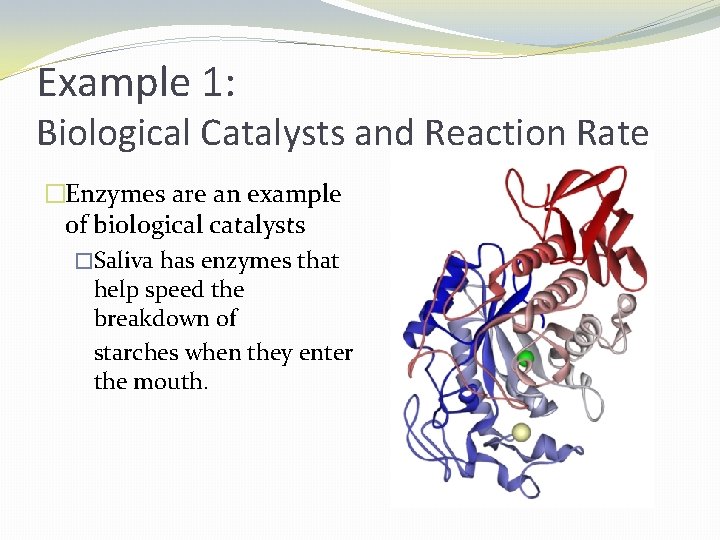 Example 1: Biological Catalysts and Reaction Rate �Enzymes are an example of biological catalysts