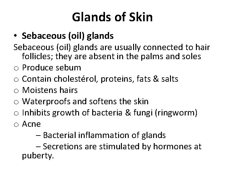 Glands of Skin • Sebaceous (oil) glands are usually connected to hair follicles; they