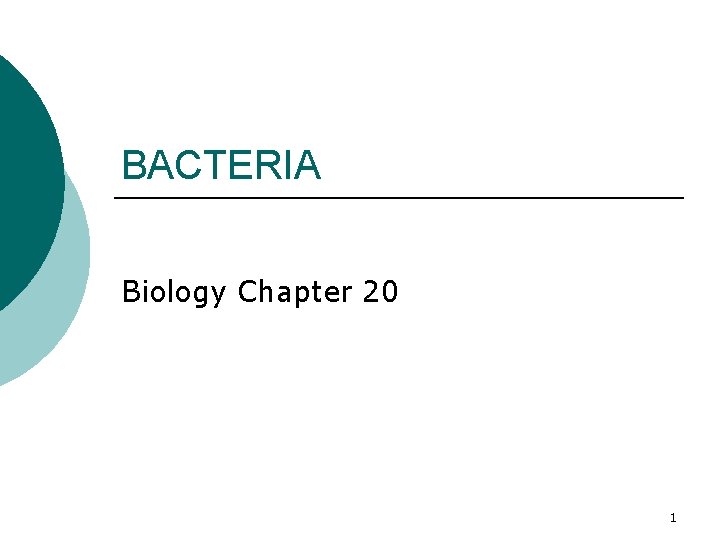 BACTERIA Biology Chapter 20 1 