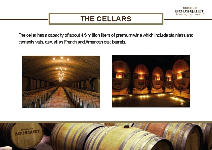THE CELLARS The cellar has a capacity of about 4. 5 million liters of