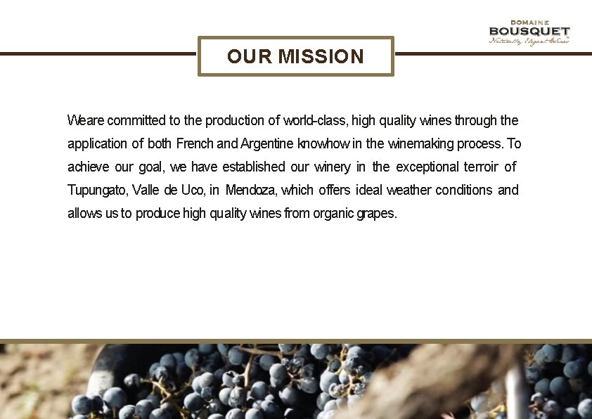 OUR MISSION Weare committed to the production of world-class, high quality wines through the