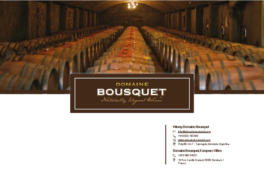Winery Domaine Bousquet info@domainebousquet. com +54 2622 480 000 www. domainebousquet. com Ruta 89,