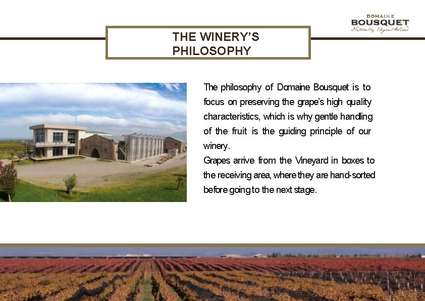 THE WINERY’S PHILOSOPHY The philosophy of Domaine Bousquet is to focus on preserving the