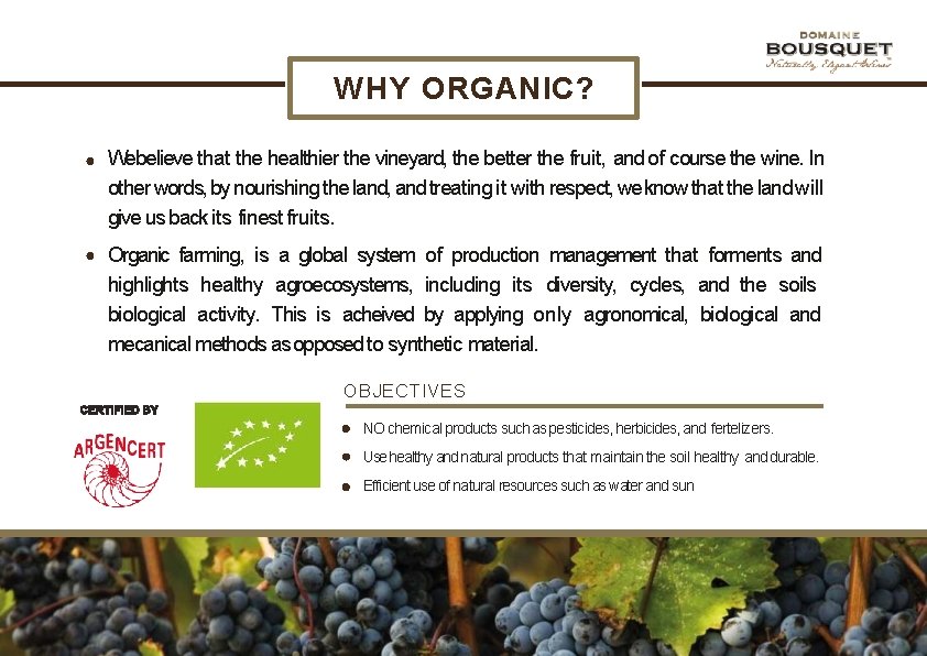 WHY ORGANIC? Webelieve that the healthier the vineyard, the better the fruit, and of