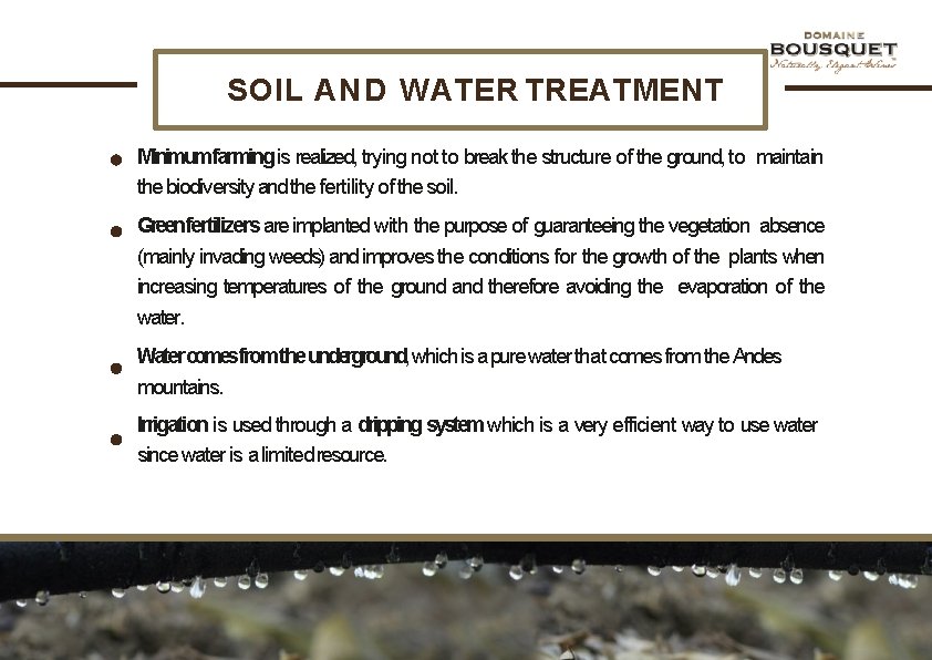 SOIL AND WATER TREATMENT Minimum farming is realized, trying not to break the structure