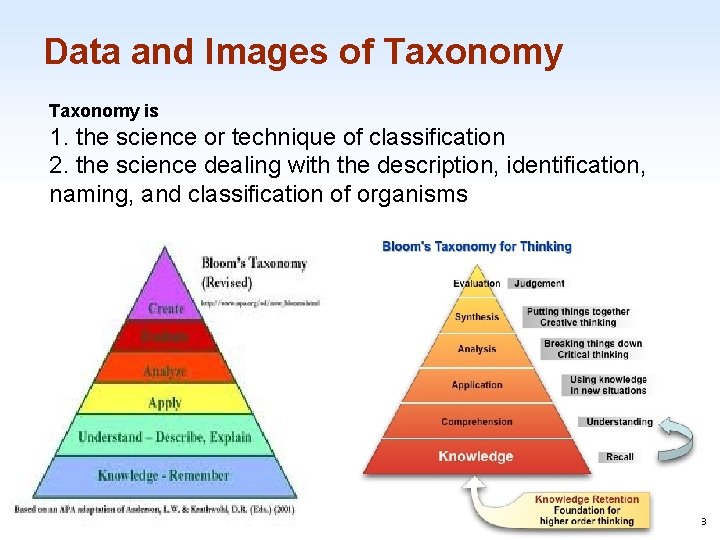 Data and Images of Taxonomy is 1. the science or technique of classification 2.