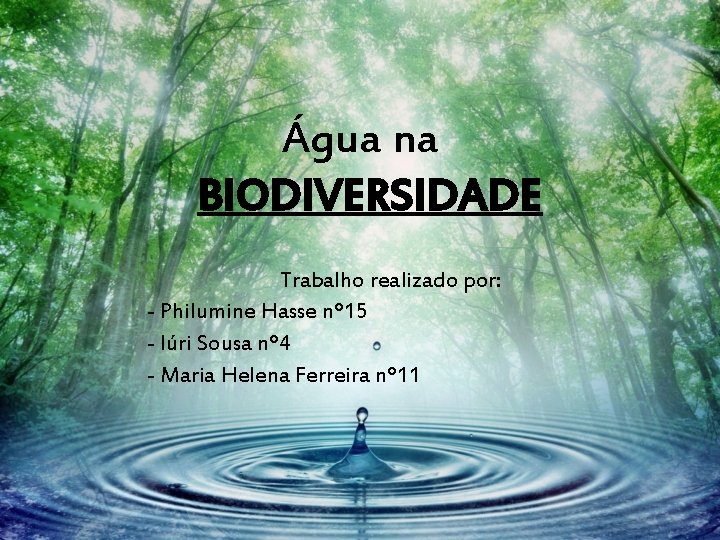 Água na BIODIVERSIDADE Trabalho realizado por: - Philumine Hasse nº 15 - Iúri Sousa