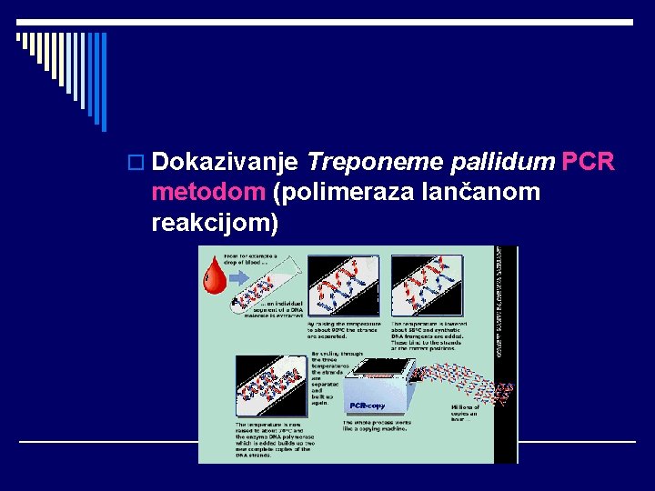 o Dokazivanje Treponeme pallidum PCR metodom (polimeraza lančanom reakcijom) 