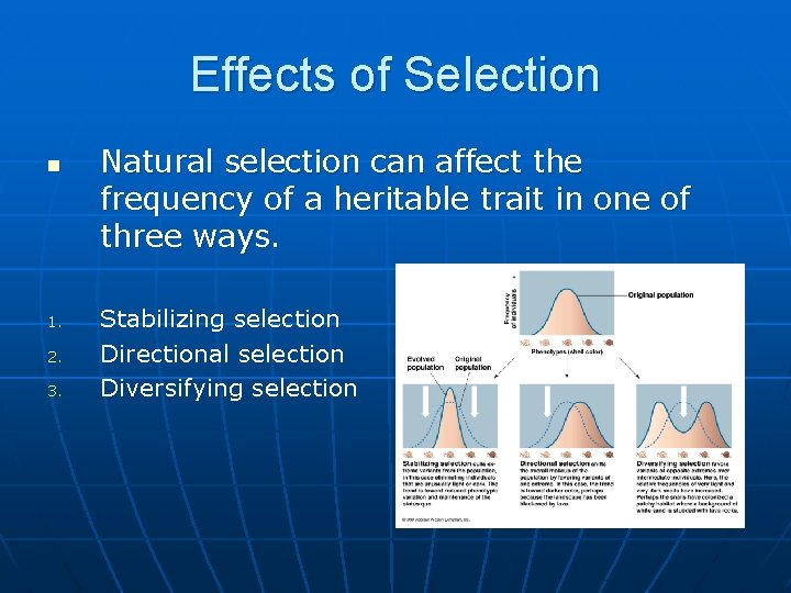 Effects of Selection n 1. 2. 3. Natural selection can affect the frequency of