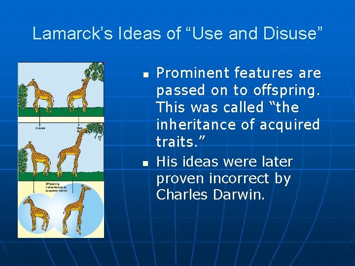 Lamarck’s Ideas of “Use and Disuse” n n Prominent features are passed on to