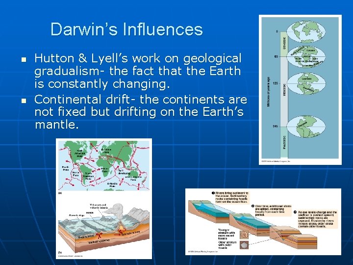 Darwin’s Influences n n Hutton & Lyell’s work on geological gradualism- the fact that