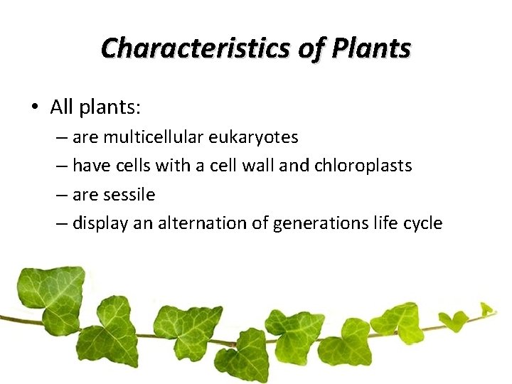 Characteristics of Plants • All plants: – are multicellular eukaryotes – have cells with