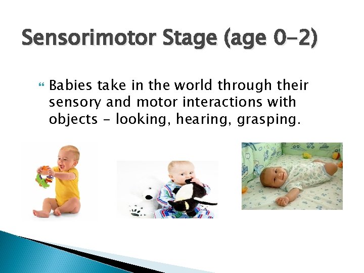 Sensorimotor Stage (age 0 -2) Babies take in the world through their sensory and Sensorimotor Stage (age 0 -2) Babies take in the world through their sensory and