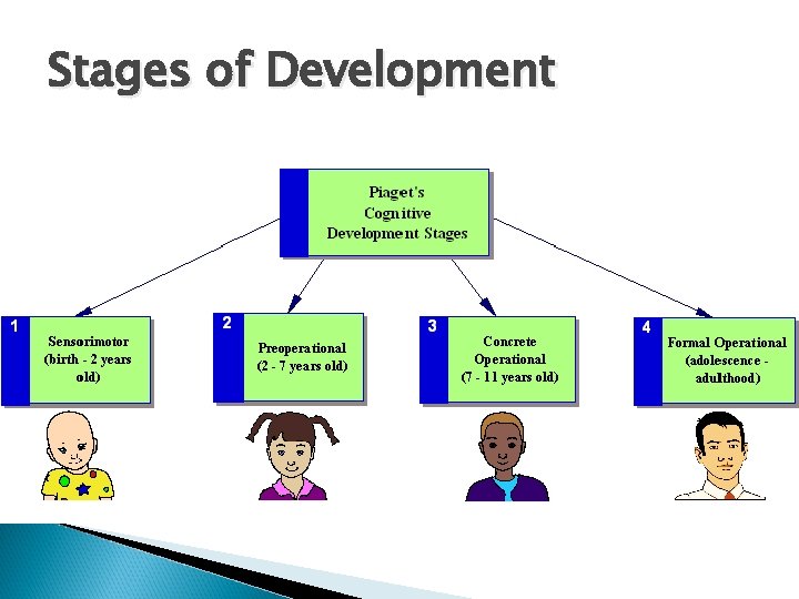 Stages of Development Stages of Development